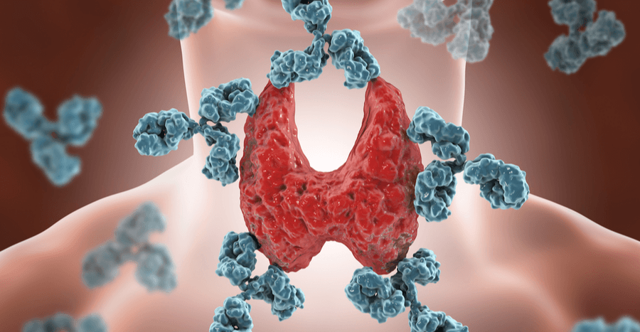 thyroid